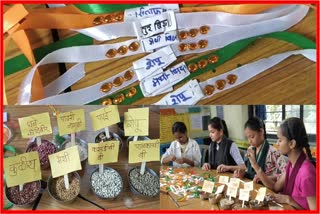 seeds rakhis