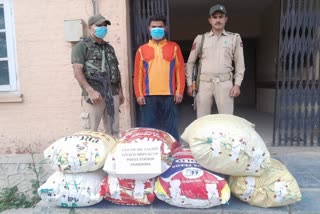 Budgam Police Arrested One Drug Peddler and contraband substance recovered from his possession in central Kashmir's budgam District