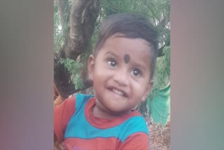 Missing_Two_Year_Old_Boy_Case_Ends_in_Tragedy