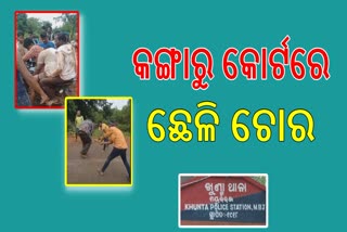 ମୟୂରଭଞ୍ଜ ଜିଲ୍ଲାରେ କଙ୍ଗାରୁ କୋର୍ଟ:  ଛେଳି ଚୋରି ଅଭିଯୋଗରେ ନିର୍ଦ୍ଧୁମ ଛେଚା ଖାଇଲେ ଦୁଇ ଚୋର