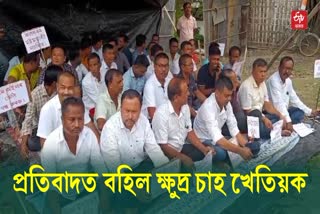 Small Tea Growers Association Stages Protest