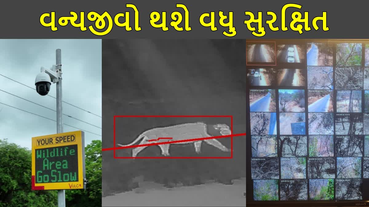 વન્યજીવોની સુરક્ષા માટે ખાસ સિસ્ટમ