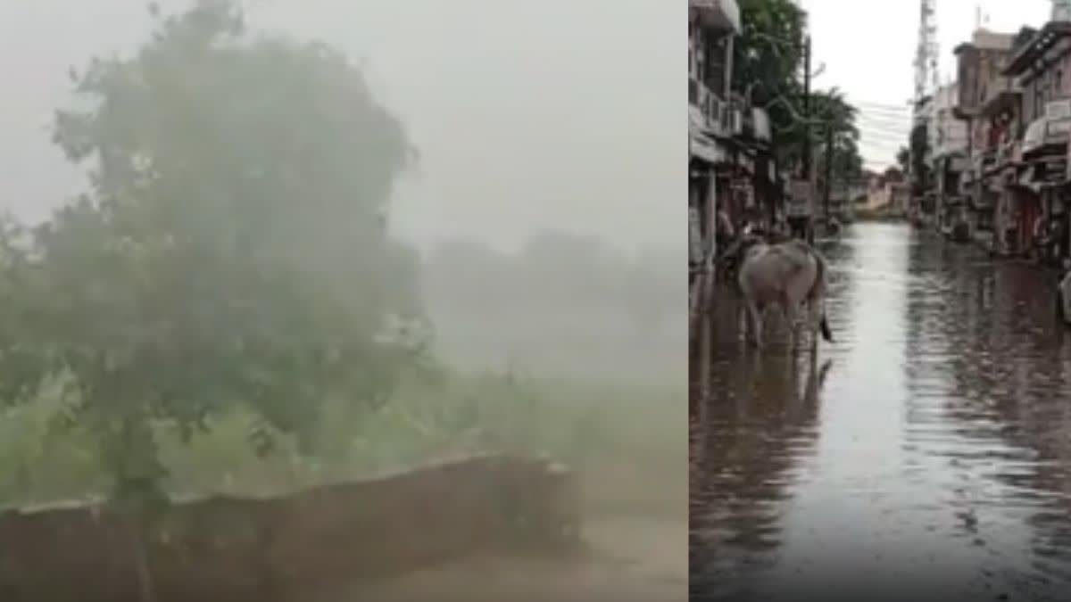 Heavy Rain In Barmer