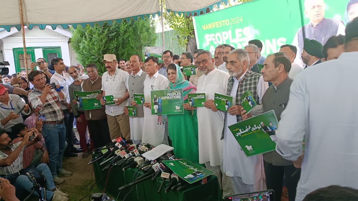 Jammu Kashmir Elections PDP Manifesto