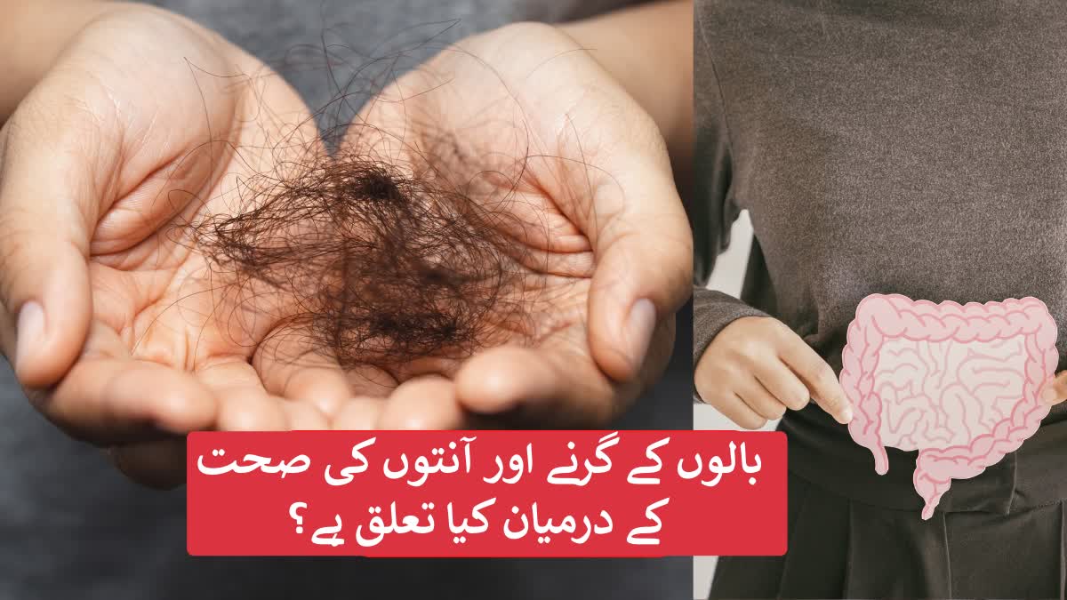 بالوں کے گرنے اور آنتوں کی صحت کے درمیان کیا تعلق ہے؟