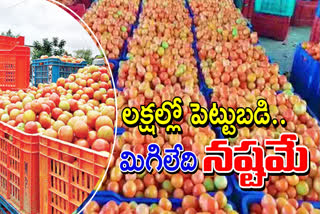 tomato prices fall down