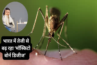 india Registers 1,11,807 Cases Of Mosquito-Borne Diseases This Year