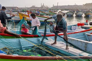 SRI LANKAN NAVY ARRESTED FISHERMEN  TAMIL FISHERMEN ARREST IN SRI LANKA  INDIA SRI LANKA FISHERMEN ISSUES  MK STALIN LETTER ON FISHERMEN