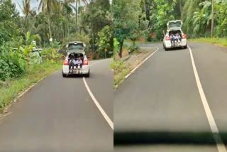 STUDENTS DANGEROUS DRIVE  RANIPURAM TOURIST CENTRE  റാണിപുരത്ത് അപകട ഡ്രൈവിങ്‌  റാണിപുരം വിനോദ സഞ്ചാര കേന്ദ്രം