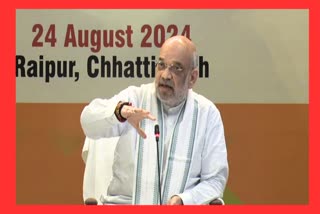 DHARA 370 DELETED SAYS AMIT SHAH