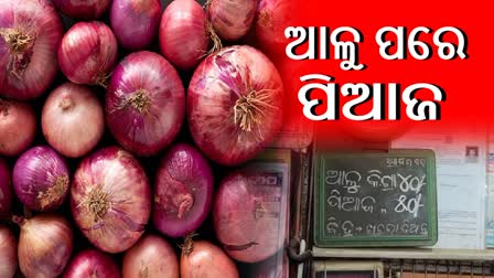 ONION PRICE INCREASE