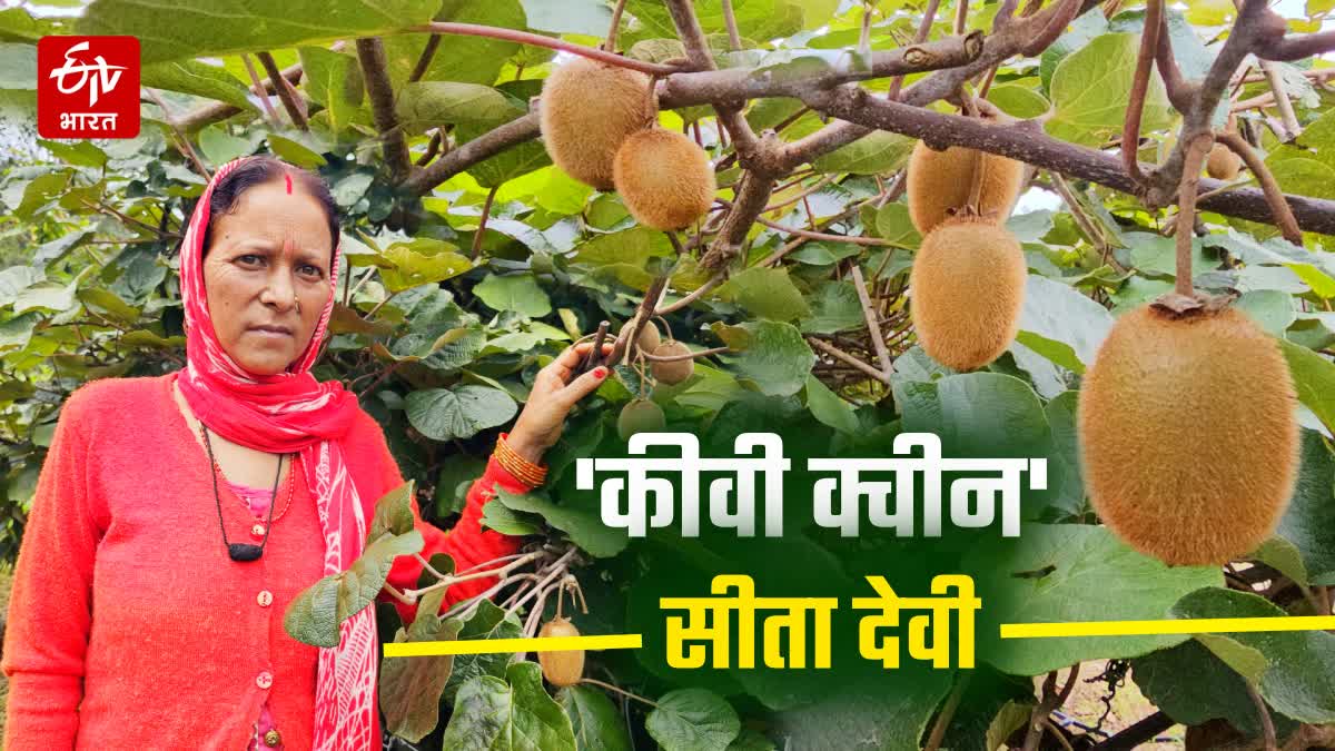 Kiwi Fruit Farming in Tehri