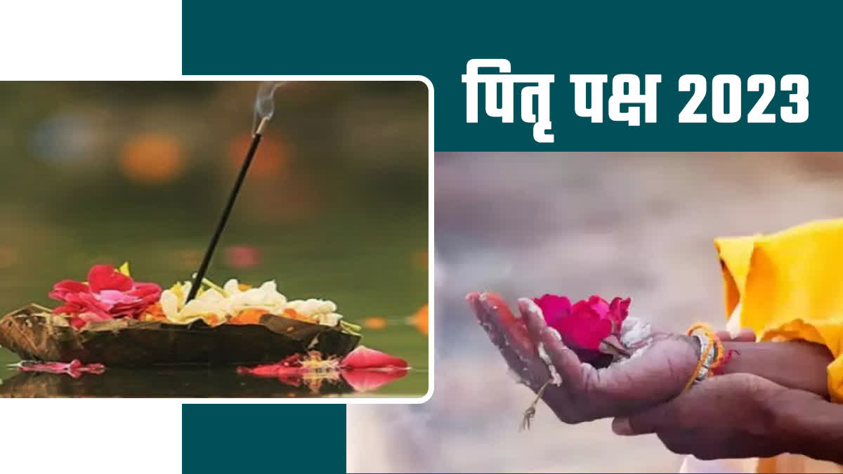 Shraddha Paksha 2023 पितृ पक्ष में पितरों का श्राद्ध और तर्पण करने का विशेष महात्म्य है, पितृ पक्ष की शुरुआत भाद्र मास में शुक्ल पक्ष की पूर्णिमा तिथि से होती है. आश्विन मास के कृष्ण पक्ष की अमावस्या तिथि तक श्राद्ध पक्ष चलता है. (Importance of Shraddha Paksha What to do and what not to do in Shraddha Paksha