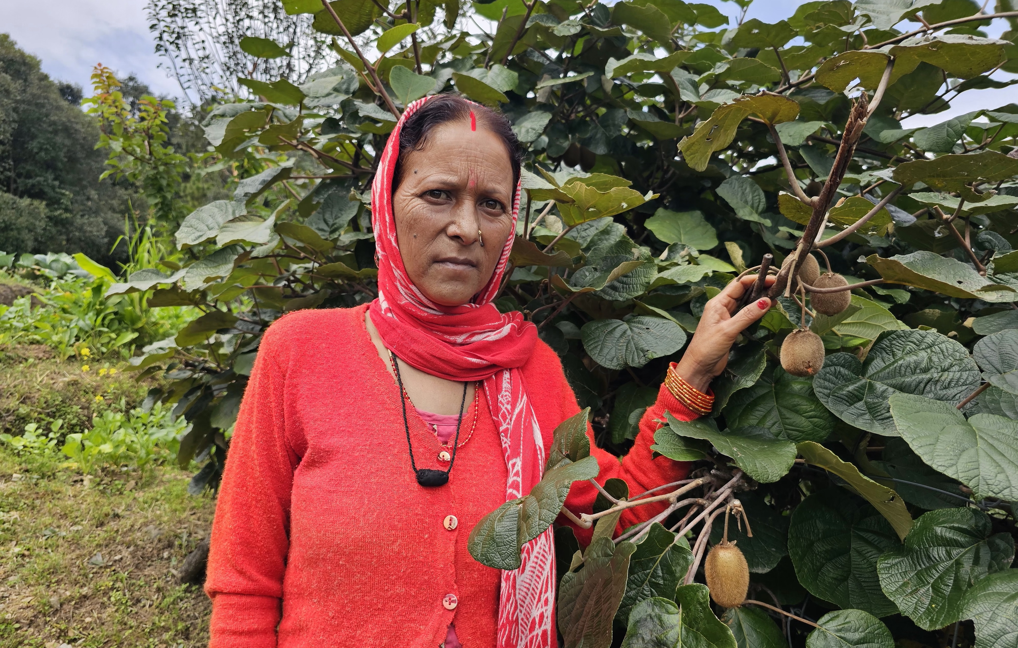 Sita Chauhan Kiwi Farming