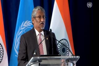 India established itself as voice of Global South Maldives minister Ahmed Khaleel at UN