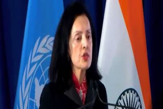 India's permanent representative to UN Ruchira Kamboj on role of Global South
