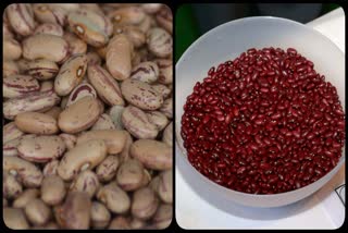 Rajma For Health