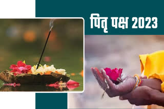 Shraddha Paksha 2023 पितृ पक्ष में पितरों का श्राद्ध और तर्पण करने का विशेष महात्म्य है, पितृ पक्ष की शुरुआत भाद्र मास में शुक्ल पक्ष की पूर्णिमा तिथि से होती है. आश्विन मास के कृष्ण पक्ष की अमावस्या तिथि तक श्राद्ध पक्ष चलता है. (Importance of Shraddha Paksha What to do and what not to do in Shraddha Paksha