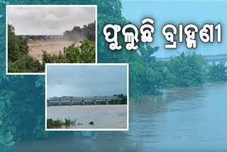 flood fears rise as brahmani river swells