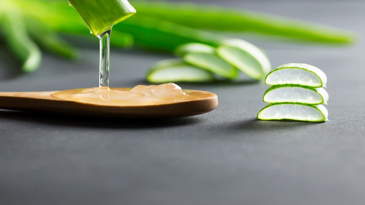 Aloe Vera Gel Benefits For Skin