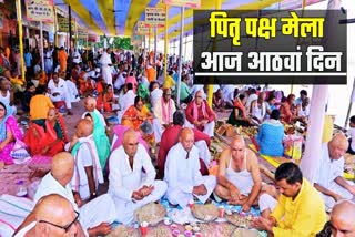 Pitru Paksha Mela In Gaya