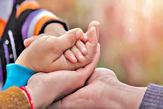 Precautions to be Taken Before Adopting a Child in Telugu