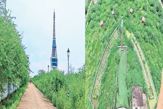 YANAM OBELISK TOWER