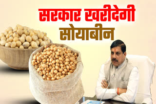 MOHAN GOVT PURCHASE SOYBEAN