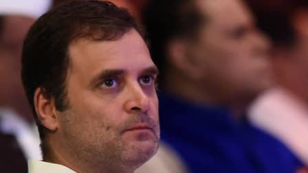 Rahul Gandhi criticised the BJP for creating unemployment that has forced youth from Haryana to seek work abroad, often through illegal means known as 'Dunki.' He shared a video of his discussions with Haryana immigrants in the US, where they expressed fears of deportation and the pain of being away from family.