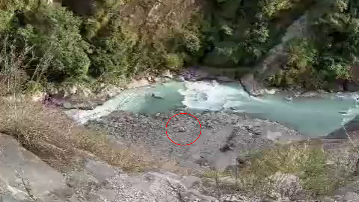 dharchula accident