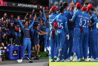 ODI World Cup 2023 PAK VS AFG : అఫ్గాన్ సంచలన విజయం వెనక టీమ్​ఇండియా దిగ్గజ క్రికెటర్!