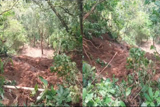 Landslide In Nedumkandam  Landslide In Idukki  Landslide  Agricultural land was washed away  crop damage  ഇടുക്കി നെടുംകണ്ടത്ത് ഉരുൾപൊട്ടൽ  കൃഷി ഭൂമി ഒലിച്ചു പോയി  ഉരുൾപൊട്ടൽ  കൃഷി നാശം