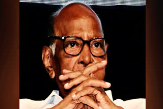 Nationalist Congress Party chief Sharad Pawar