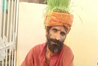 Rajgarh Man grew wheat and jowar on his head