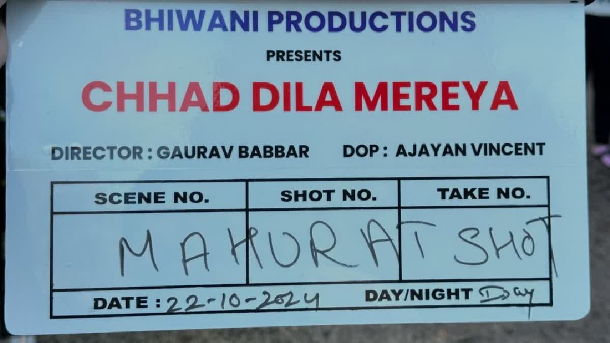 Punjabi film chhad dila mereya