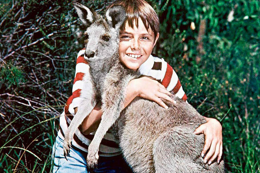 Skippy was basically the Australian equivalent of Lassie