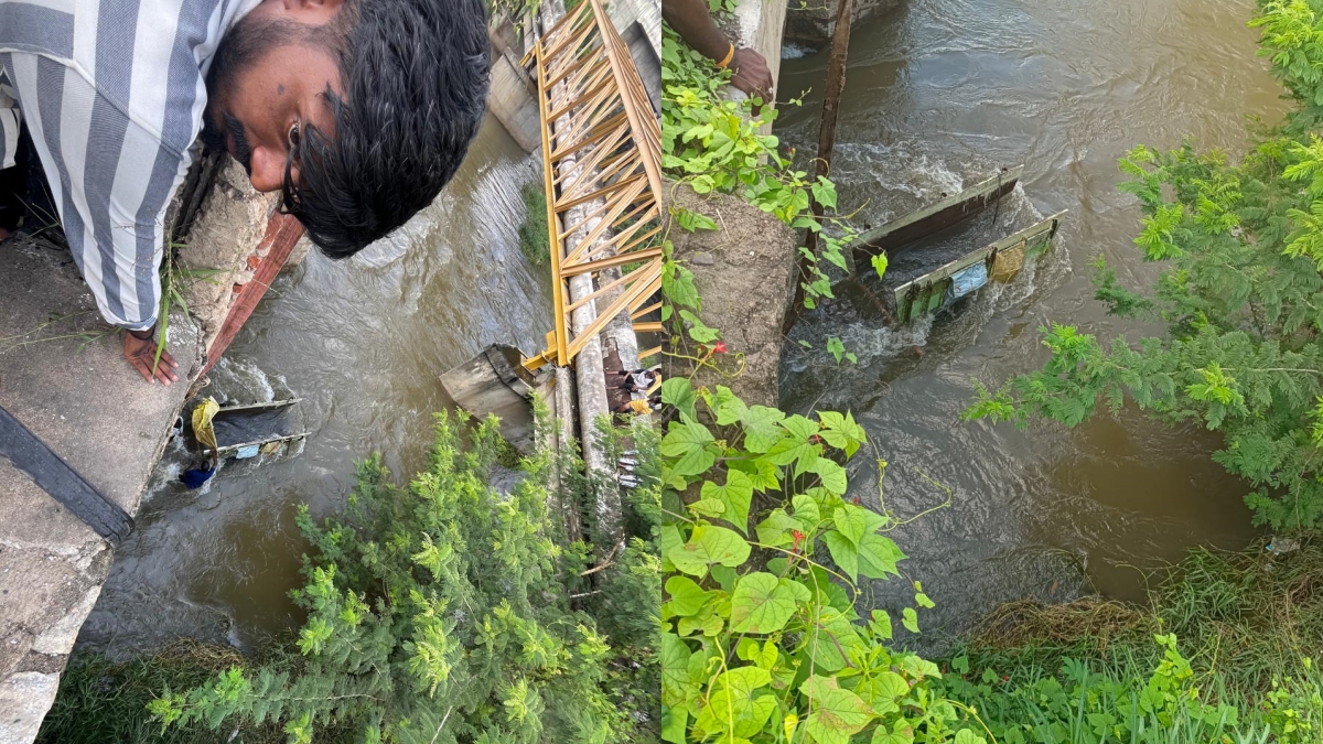 ಲೋಕಪಾವನಿ ನದಿಯಲ್ಲಿ ಕೊಚ್ಚಿ ಹೋಗಿ ಸಿಲುಕಿರುವ ಎತ್ತಿನ ಗಾಡಿ