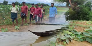 vegetable farmers fearful