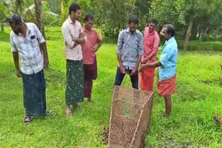 SNAKE TRAPPED IN FISH CAGE  മൂർഖൻ പാമ്പ്  കെണിയിൽ കുടുങ്ങി പാമ്പ്  മീൻ കെണിയിൽ പാമ്പ്