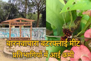 Baranwapara Butterfly Meet