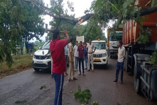 Odisha CM Mohan Majhi Reviews Cyclone Dana Preparedness; Over 3 Lakh People Evacuated