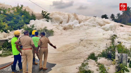 ரசாயன நுரையை அகற்றிய தீயணைப்புத் துறையினர்