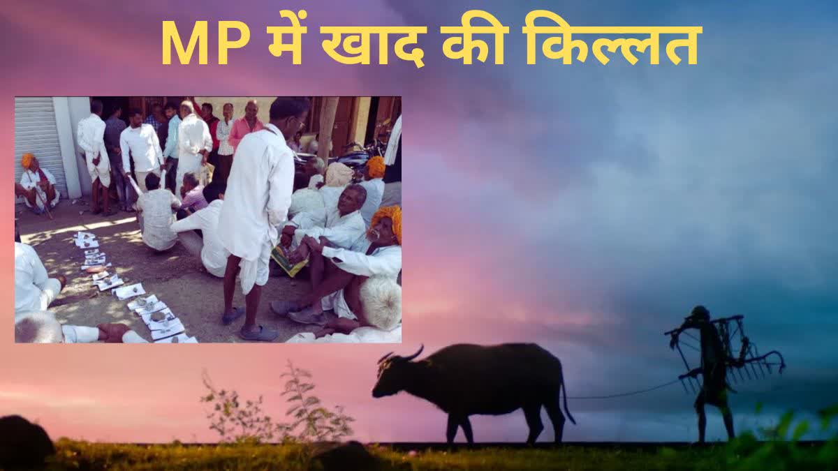 Fertilizer Crises in Madhya Pradesh