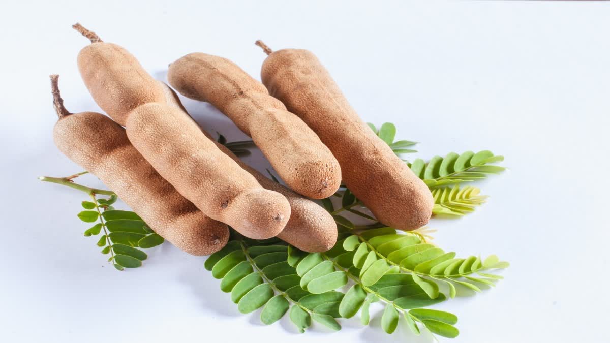 Tamarind for Health News