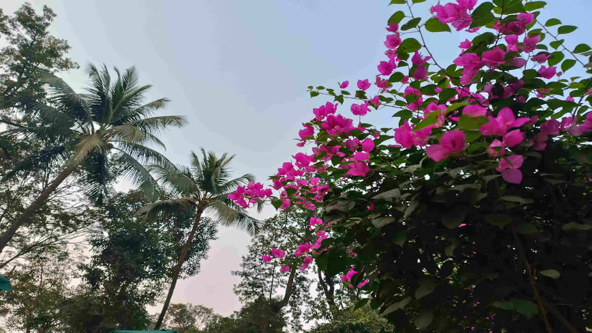 Air Pollution in Kolkata