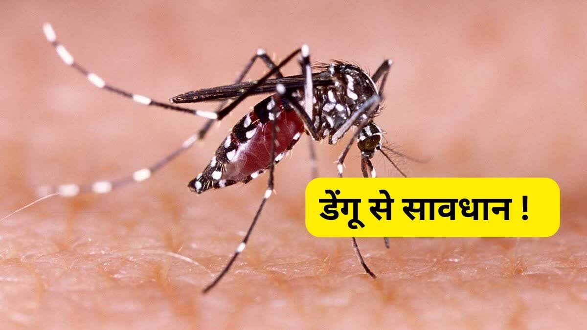 Dengue Alert in Indore