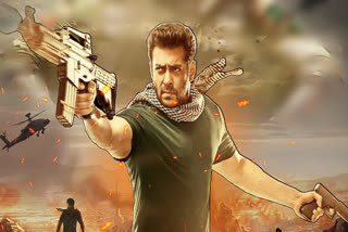 Tiger 3 box office collection day 12: Salman Khan's actioner breaches Rs 250cr mark, actor says 'grateful and happy' about it