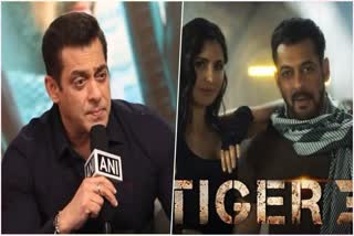 Salman Khan is happy with the success of Tiger 3