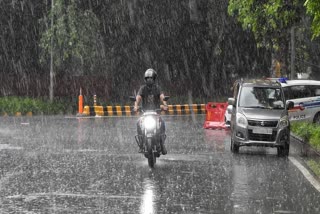 Kerala Weather Updates : Yellow Alert in Kozhikode and Ernakulam,Kerala Weather Updates : Yellow Alert in Kozhikode and Ernakulam