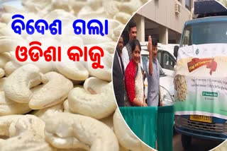 Odisha Exports Cashew To Bangladesh